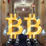 bitcoin & bitcoincash