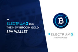 electrumG wallet bitcoin gold