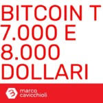 Bitcoin 7000 8000 dollari