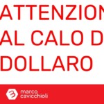 Bitcoin calo dollaro