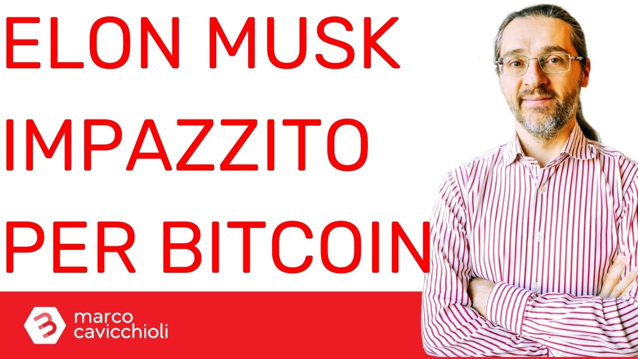 elon musk impazzito bitcoin