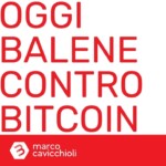Bitcoin grandi investitori crollo prezzo