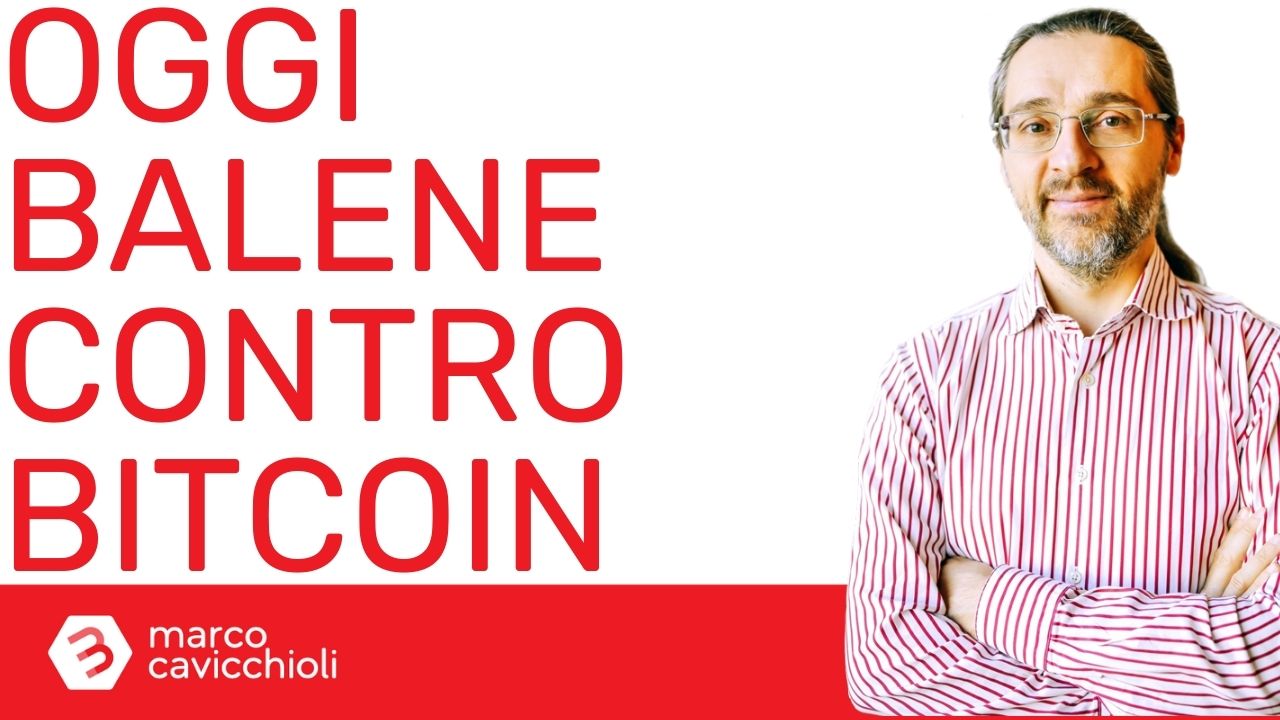 Bitcoin grandi investitori crollo prezzo