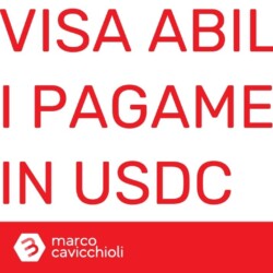 Criptovalute Visa USDC