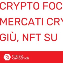 crypto focus 6