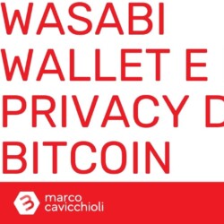 riccardo masutti bitcoin privacy wasabi