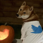 elon musk twitter dogecoin