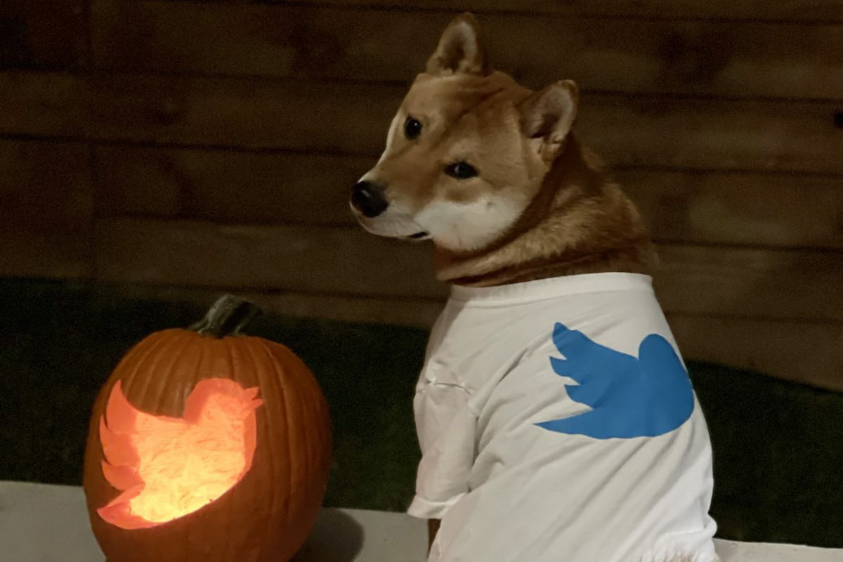 elon musk twitter dogecoin
