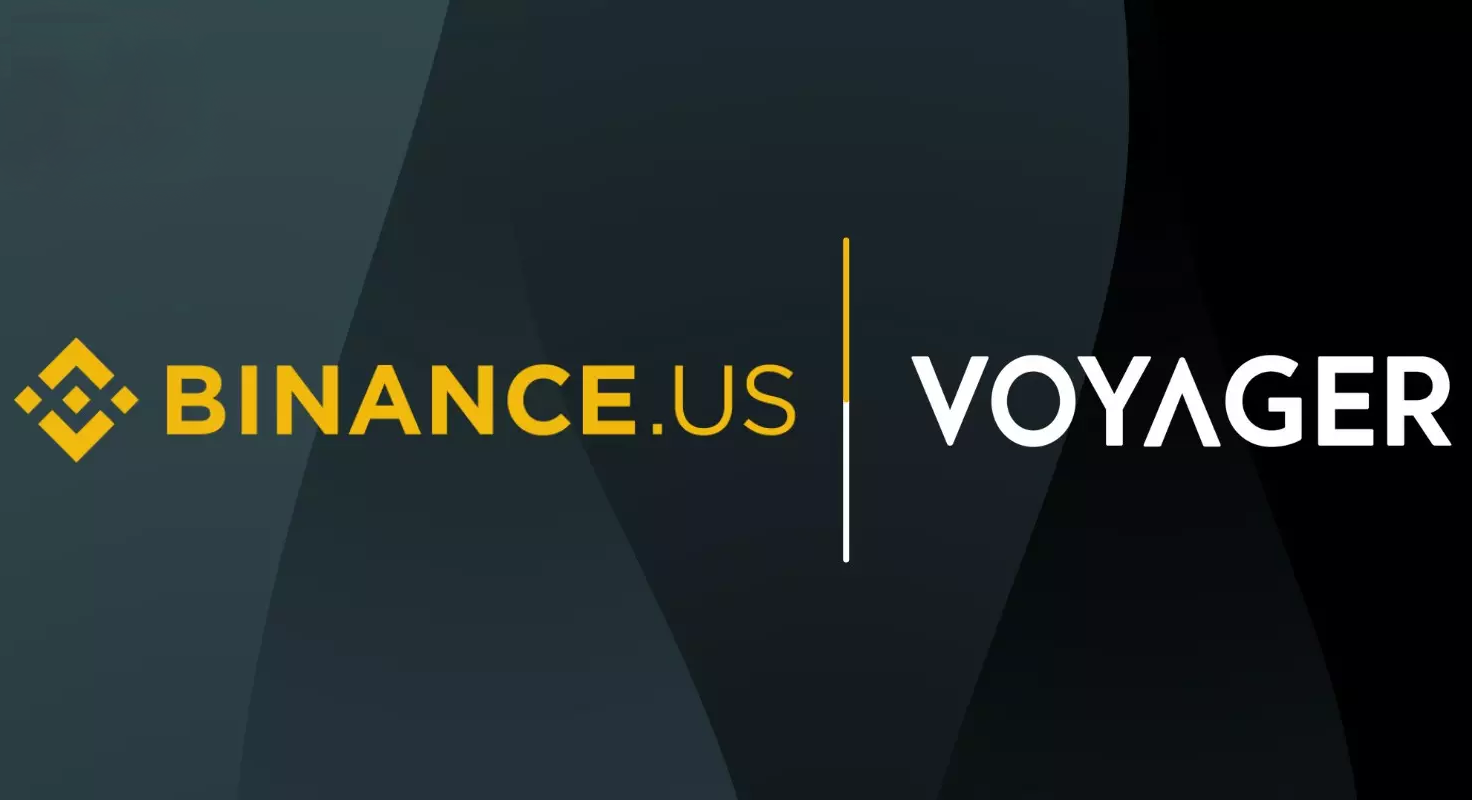 binance voyager
