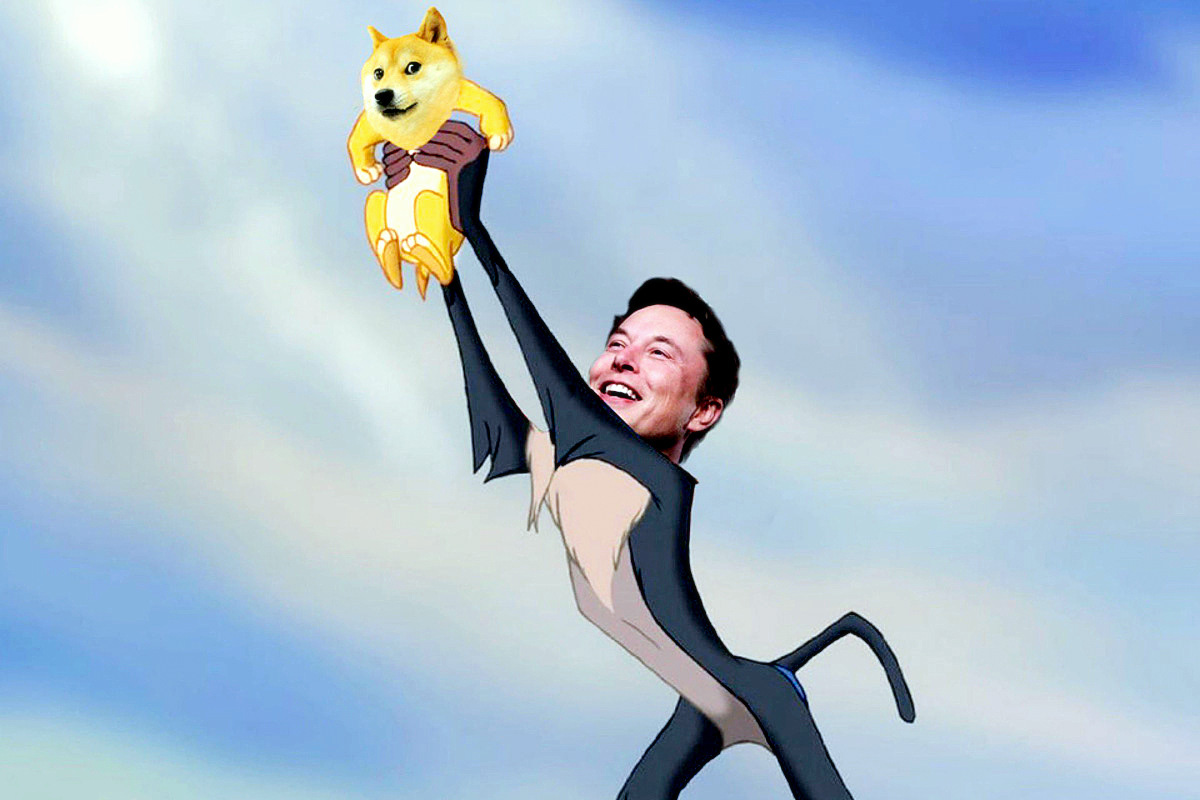 elon musk dogecoin