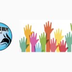 IL GATTO E LA VOLPE nel web