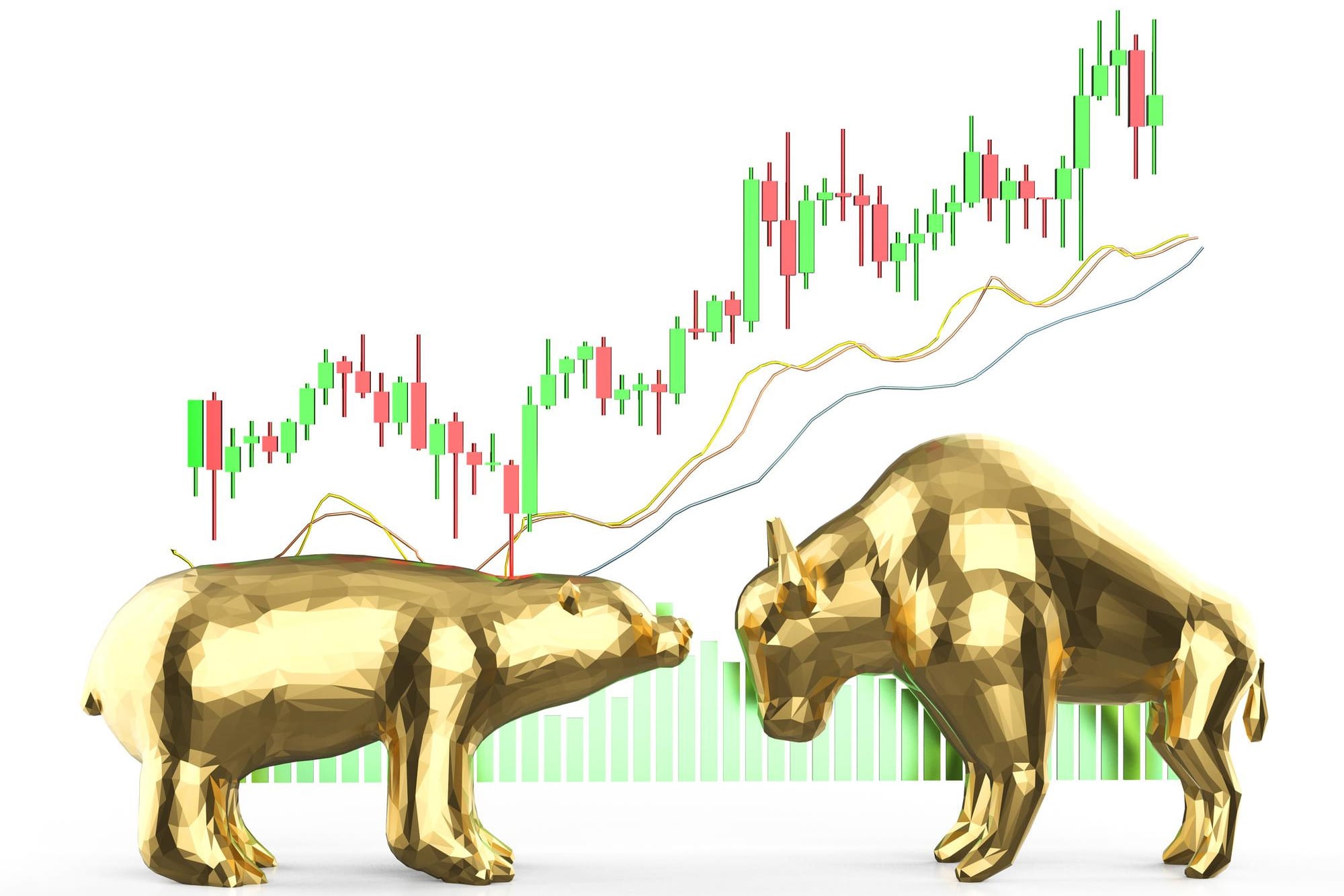 bear bull market