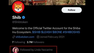 linda yaccarino shiba inu