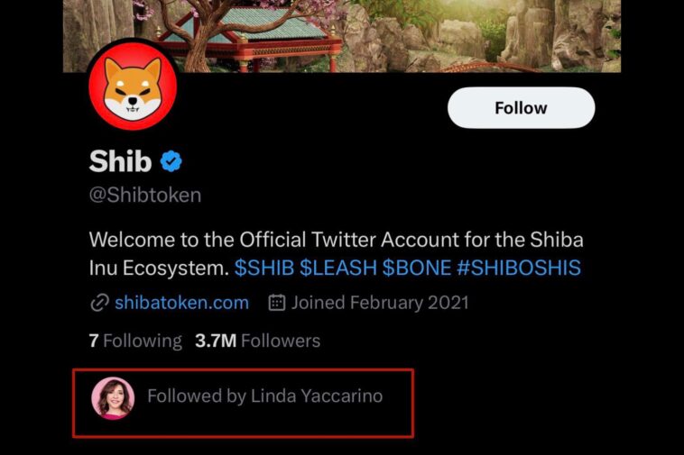 linda yaccarino shiba inu