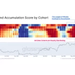 bitcoin balene accumulazione