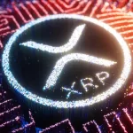 xrp ripple