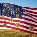 usa bitcoin